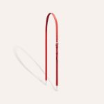 Goyard Cassette Trunk Bag Red - Image 7